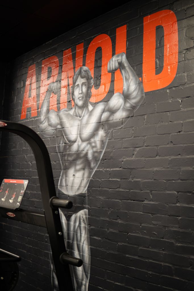 Arnold Schwarzenegger Mural
