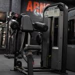 Delt Raise
