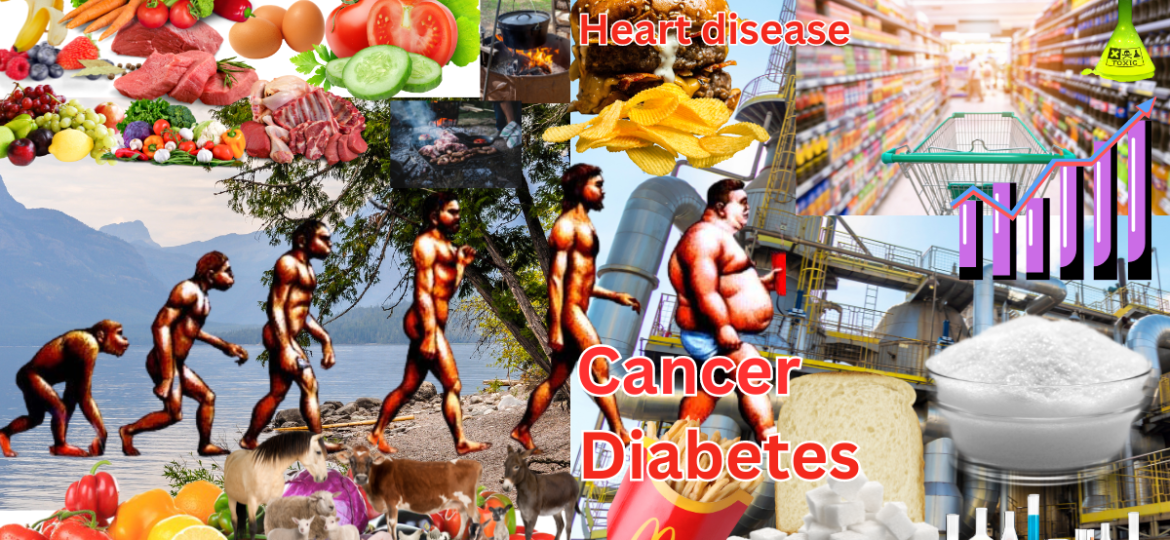 human evolution disease