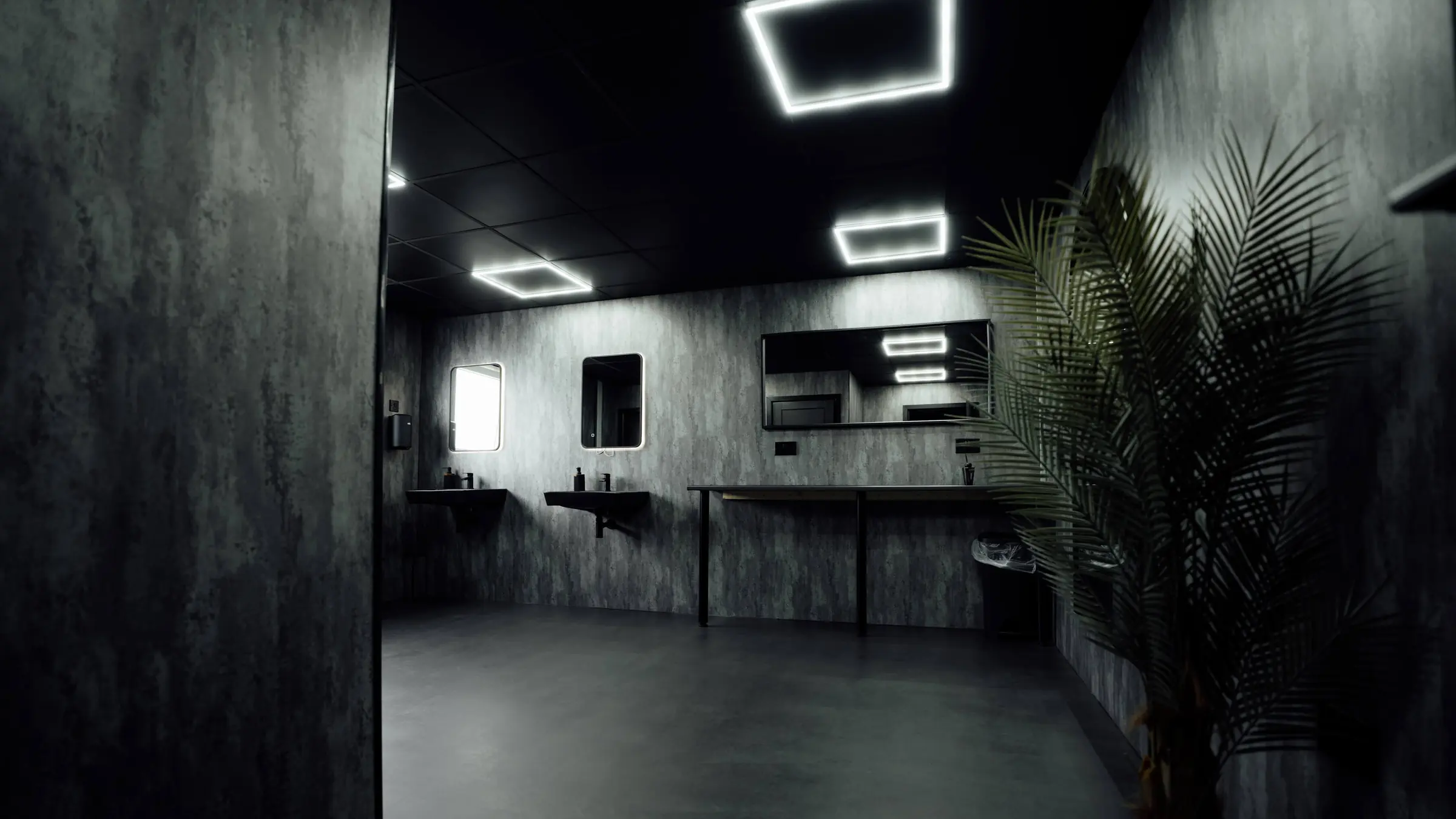 The new ladies changing room at BoxCross UK, with concrete-effect walls, black basins, backlit mirrors and a palm