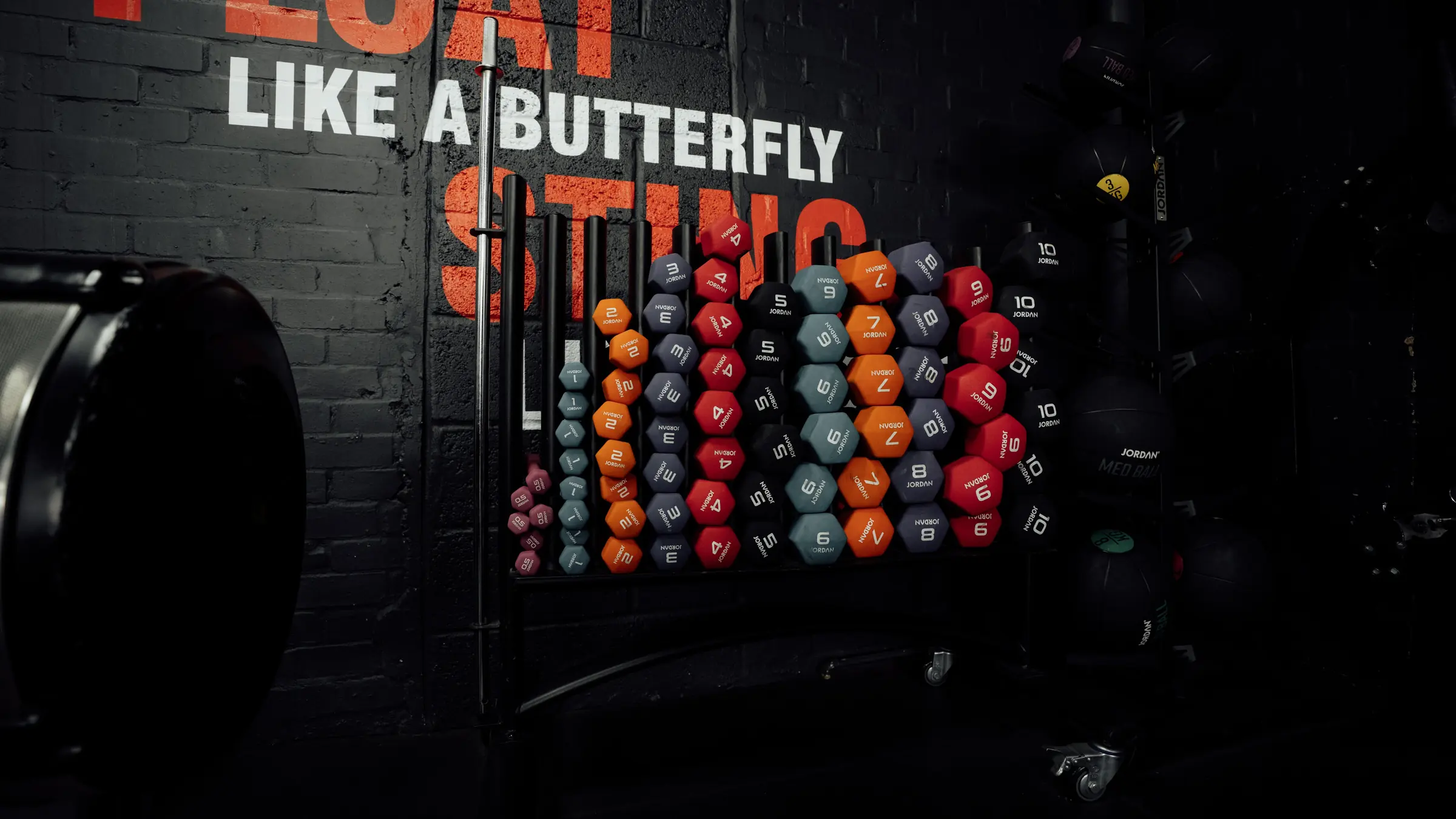 Coloured dumbbells racked under the Float Like a Butterfly mural in the functional room