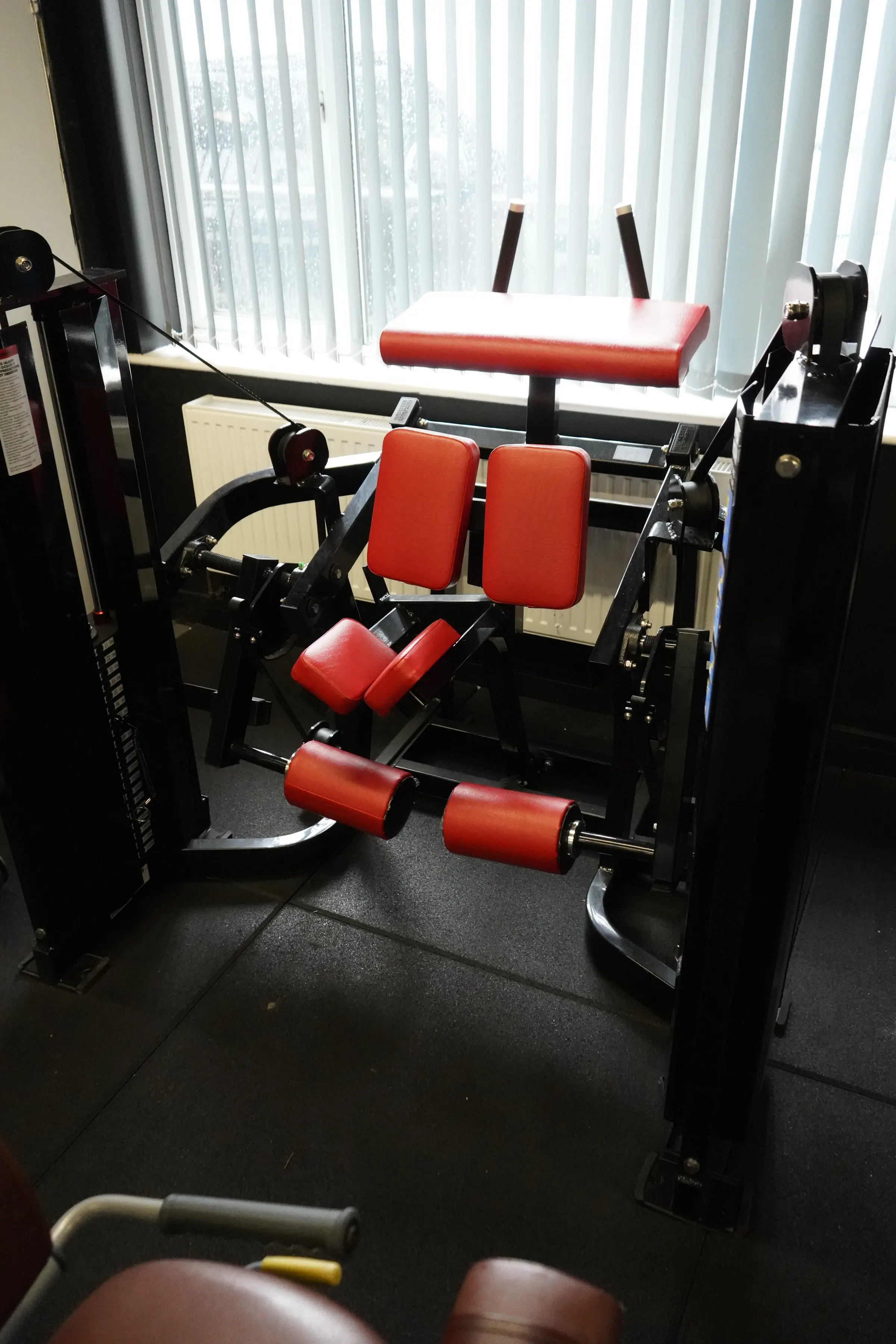 Hammer Strength Kneeling Hamstring Curl at BoxCross UK gym in Wisbech
