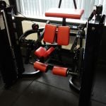 Hammerstrength Kneeling Hamstring Curl